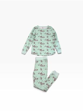 Disney Women’s 2pc Pajama Set Mickey Minnie Sleigh Mint Green Large